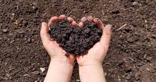 How to compost